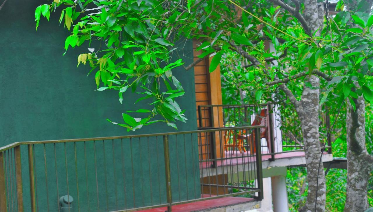 Green Cottage Ella Exterior foto